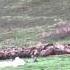 Sky Burial Ceremony In Tibet