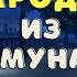 Колдун поневоле Страшилки про колдунов и магию Страшные истории про колдунов