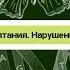 Биология 8 класс 32 Нормы и режим питания Нарушение обмена веществ