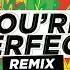 You Re Perfect Remix