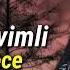 Aynur Sevimli Gece Gece Official Audio Music