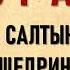 Дурак Салтыков Щедрин М Е Сказка для детей изрядного возраста Сатира и Юмор Аудио