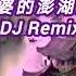 民歌 外婆的澎湖湾 DJ Remix