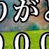 奇跡が起こる不思議な言霊 あなたのありがとうがすべてを救う