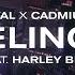 Rival X Cadmium Feeling It Ft Harley Bird Official Lyric Video