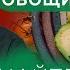 Правильное питание летом от доктора тибетской медицины правильноепитание чжудши жимба