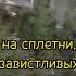 Истина жизни Далеко улетела зима Улетела из сердца вьюга