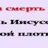 Видеобиблия 2 е Послание Коринфянам Глава 4