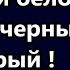 Сегодня нет белого и черного только черный и серый Сатанисты выполняют свои работу хорошо