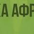 Особенности природы материка Африка Видеоурок по географии 7 класс