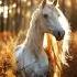 Golden White The Legendary Hybrid Horse With Supernatural Beauty