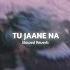 TU JAANE NA Slowed And Reverb Alyan