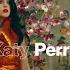 OnePlus Music Festival Presents Katy Perry