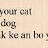 TXT 투모로우바이투게더 Cat Dog Easy Lyrics