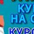 Курс 5 10 2024 Чи Шуд валюта Таджикистан Курби Асьор Имруз 5 октября курби асъор имруз