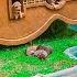 Rescue Puppies From Ground Hole And Build A DREAM DOG HOUSE