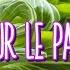 Tout Sur Le Pak Choi Ce Légume Asiatique Facile à Cuisiner