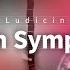 TEAM CMICO Ludicin Fallen Symphony