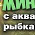 Запустил рыбок в мини пруд на даче Сделал защитный навес