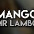 Mr Lambo Mango Текст песни Караоке