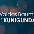 Vaidas Baumila Kunigunda KARAOKE