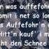 Wolfgang Ambros Schifoan Lyrics