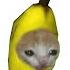 Banana Cat Crying But Famous Phone Ringtones 2