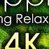 PHILIPPINES 1 Hour 4K UHD Relaxation Video Amazing Nature Scenery With Soft Musik