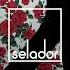 Dave Seaman Anthony Pappa The Selador Showcase 20 2024 DJ Mix