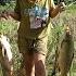 Orphan Girl Encounters Giant Carp