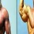 Arnold Schwarzenegger VS Sylvester Stallone Transformation 2023 Comparison Arnold Stallone