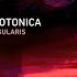 Protonica Singularis Extended Mix