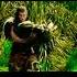 Warcraft 2 Shorts Youtubeshorts Warcraft2 Movie Hero Ak All Movies Explained