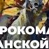 8 10 Начало широкомасштабной гражданской войны учебник История России 10 класс