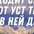 Божье Слово это животворящая Сила Бога которая просвещает твою жизнь Библия Relaxing