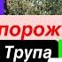 Днепр Взрывы БПЛА над Домами Взрывы Запорожье Достали Трупы Убиты Люди Днепр 22 октября 2024 г