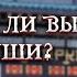 А ЛЮБИТЕ ЛИ ВЫ ПЛОВ ИЛИ СУШИ ВСЯ ПРАВДА О РИСЕ АЛЕКСЕЙ КОВАЛЬКОВ ПРОВОДИТ ОПЫТ НА РИСЕ