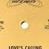 Zingara Feat James Ingram Love S Calling Wheel Records 1981