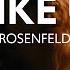 Rosenfeld Like U Lyrics