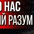 СЕНСАЦИЯ КОТОРУЮ ОТ НАС СКРЫВАЮТ Физик Анатолий Акимов о Высшем Разуме