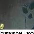 душа душанбесити лайк любовь топчик падар модар точикистон душанбе дубай росия