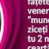 Scandal De Proporții între Oana Zăvoranu și Alex Bodi Au început Să Vă Cadă Fețele