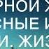 УСТРОИЛ СЮРПРИЗ ДЛЯ НЕВЕРНОЙ ЖЕНЫ Интересные истории из жизни Жизненные аудио рассказы