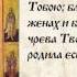 Молитва Богородице Дева Радуйся Текст на русском языке