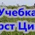 Учебка Форст Цинна