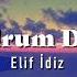 Elif İdiz Bodrum Düşü Official Audio