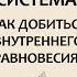 Вячеслав Дубынин Мозг и иммунная система Как добиться внутреннего равновесия