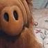 ALF Unerwarteter Besucher Warner TV Comedy