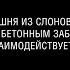 Ксения Романенко Башня из слоновой кости за бетонным забором