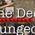 How To Play One Deck Dungeon